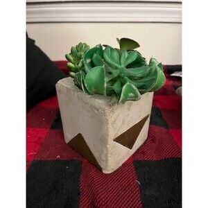 Faux Succulent Plant In Geometric Etched Square Pot  Artificial Plant